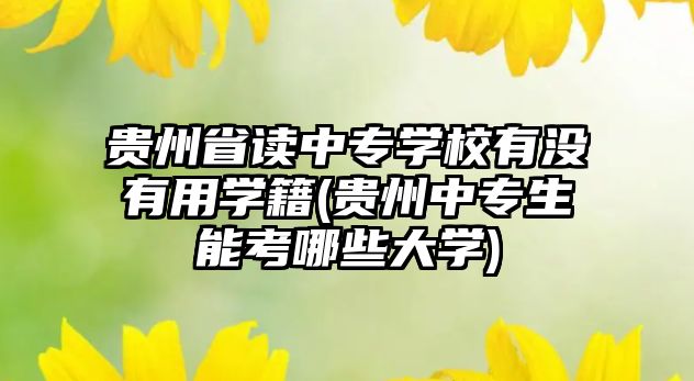 貴州省讀中專學(xué)校有沒有用學(xué)籍(貴州中專生能考哪些大學(xué))