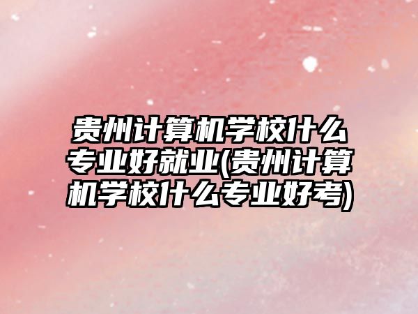 貴州計(jì)算機(jī)學(xué)校什么專業(yè)好就業(yè)(貴州計(jì)算機(jī)學(xué)校什么專業(yè)好考)