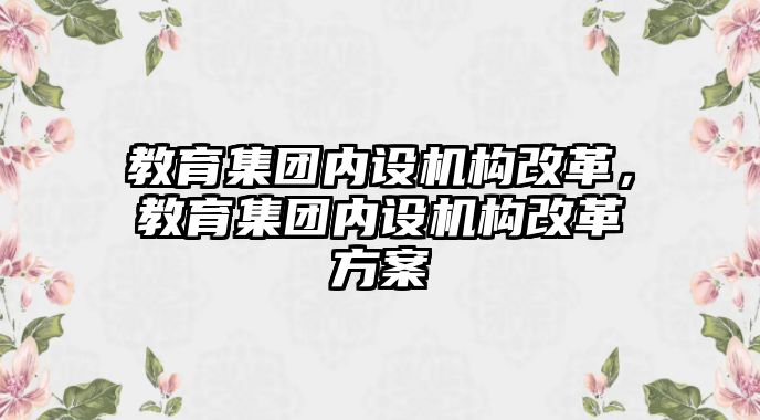 教育集團內(nèi)設(shè)機構(gòu)改革，教育集團內(nèi)設(shè)機構(gòu)改革方案