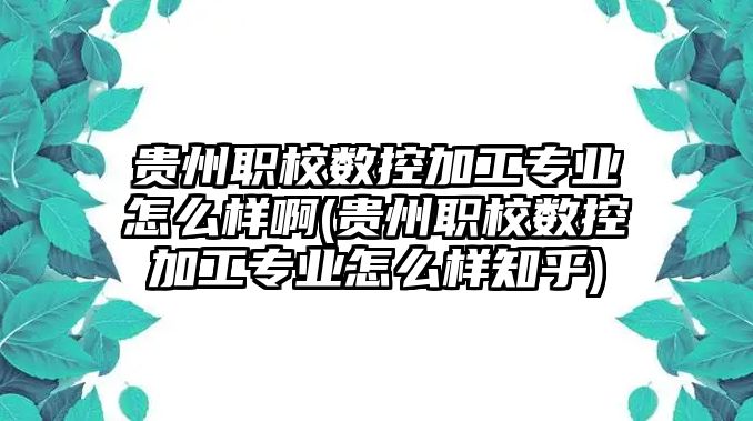 貴州職校數(shù)控加工專業(yè)怎么樣啊(貴州職校數(shù)控加工專業(yè)怎么樣知乎)