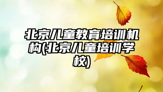 北京兒童教育培訓(xùn)機構(gòu)(北京兒童培訓(xùn)學(xué)校)