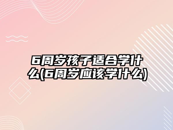 6周歲孩子適合學(xué)什么(6周歲應(yīng)該學(xué)什么)