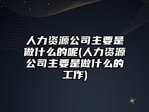 人力資源公司主要是做什么的呢(人力資源公司主要是做什么的工作)