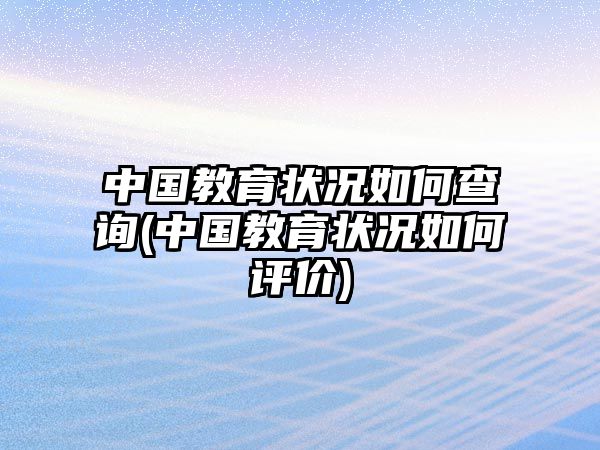 中國教育狀況如何查詢(中國教育狀況如何評價)