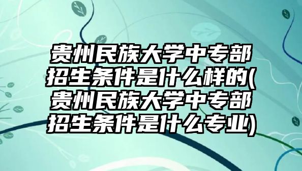 貴州民族大學中專部招生條件是什么樣的(貴州民族大學中專部招生條件是什么專業(yè))