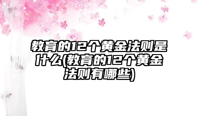 教育的12個黃金法則是什么(教育的12個黃金法則有哪些)