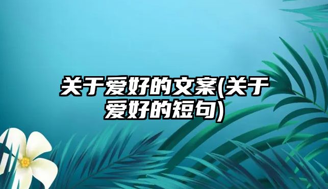 關于愛好的文案(關于愛好的短句)