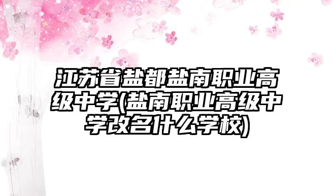 江蘇省鹽都鹽南職業(yè)高級中學(鹽南職業(yè)高級中學改名什么學校)