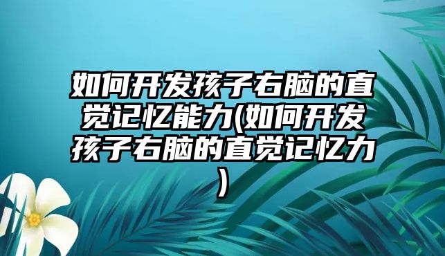 如何開發(fā)孩子右腦的直覺記憶能力(如何開發(fā)孩子右腦的直覺記憶力)