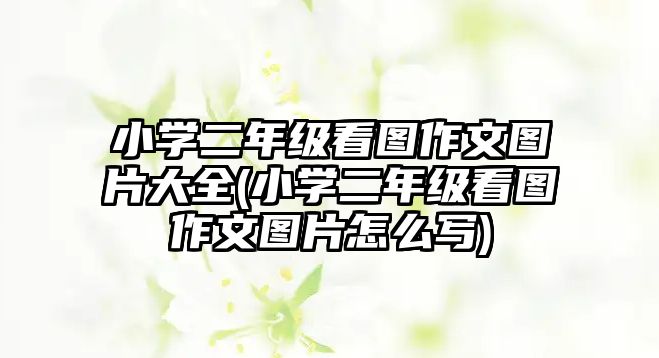 小學二年級看圖作文圖片大全(小學二年級看圖作文圖片怎么寫)