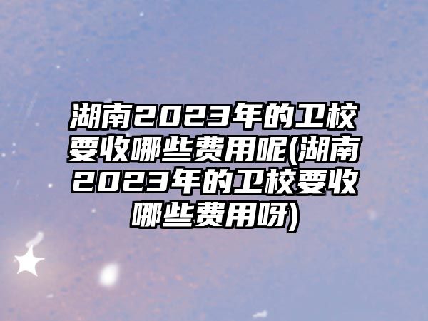 湖南2023年的衛(wèi)校要收哪些費用呢(湖南2023年的衛(wèi)校要收哪些費用呀)