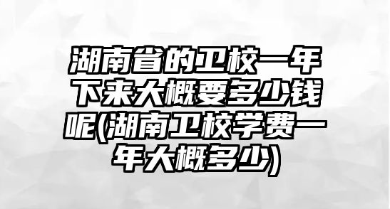 湖南省的衛(wèi)校一年下來(lái)大概要多少錢(qián)呢(湖南衛(wèi)校學(xué)費(fèi)一年大概多少)