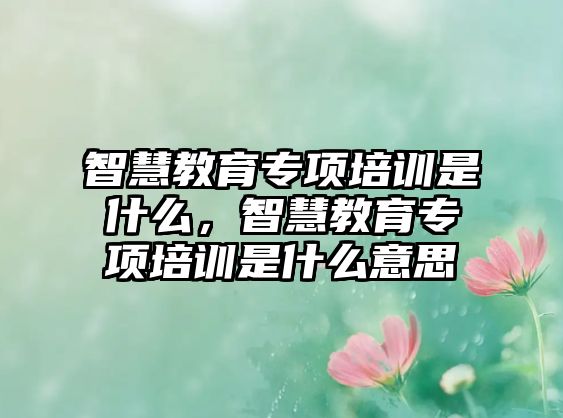 智慧教育專項(xiàng)培訓(xùn)是什么，智慧教育專項(xiàng)培訓(xùn)是什么意思