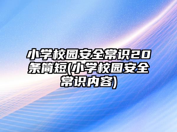 小學校園安全常識20條簡短(小學校園安全常識內(nèi)容)