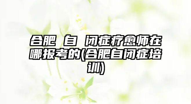 合肥 自 閉癥療愈師在哪報(bào)考的(合肥自閉癥培訓(xùn))