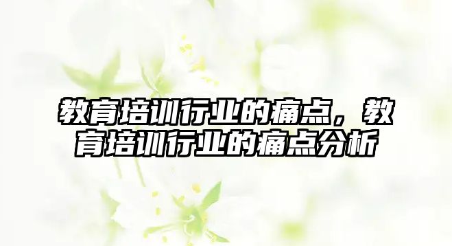 教育培訓(xùn)行業(yè)的痛點(diǎn)，教育培訓(xùn)行業(yè)的痛點(diǎn)分析