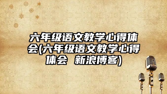 六年級語文教學(xué)心得體會(六年級語文教學(xué)心得體會 新浪博客)