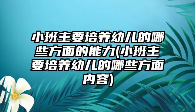 小班主要培養(yǎng)幼兒的哪些方面的能力(小班主要培養(yǎng)幼兒的哪些方面內(nèi)容)