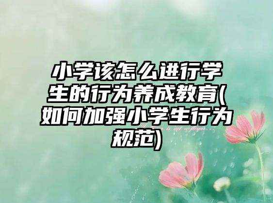 小學該怎么進行學生的行為養(yǎng)成教育(如何加強小學生行為規(guī)范)