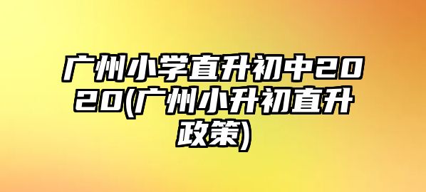 廣州小學(xué)直升初中2020(廣州小升初直升政策)