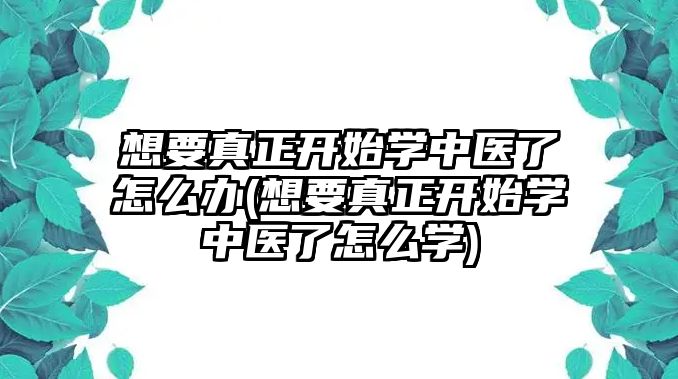 想要真正開始學(xué)中醫(yī)了怎么辦(想要真正開始學(xué)中醫(yī)了怎么學(xué))