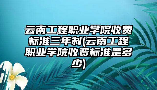 云南工程職業(yè)學院收費標準三年制(云南工程職業(yè)學院收費標準是多少)