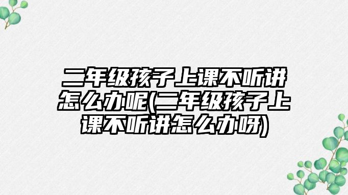 二年級孩子上課不聽講怎么辦呢(二年級孩子上課不聽講怎么辦呀)