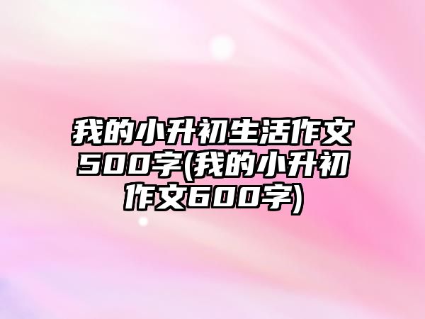 我的小升初生活作文500字(我的小升初作文600字)