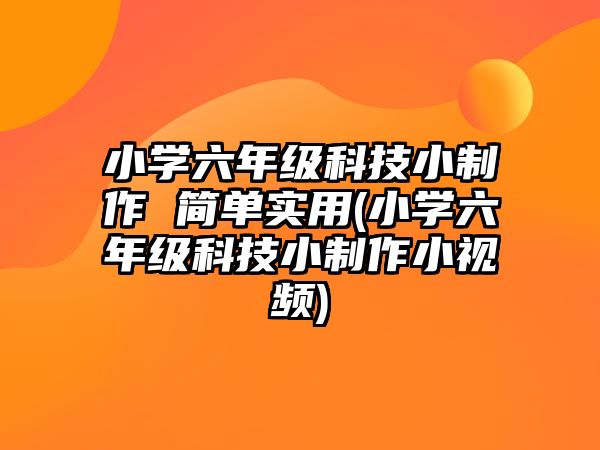 小學(xué)六年級科技小制作 簡單實(shí)用(小學(xué)六年級科技小制作小視頻)