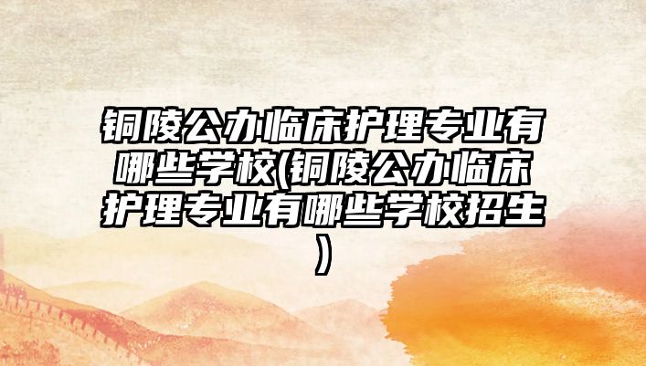 銅陵公辦臨床護理專業(yè)有哪些學校(銅陵公辦臨床護理專業(yè)有哪些學校招生)