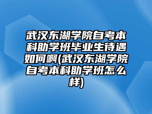 武漢東湖學(xué)院自考本科助學(xué)班畢業(yè)生待遇如何啊(武漢東湖學(xué)院自考本科助學(xué)班怎么樣)