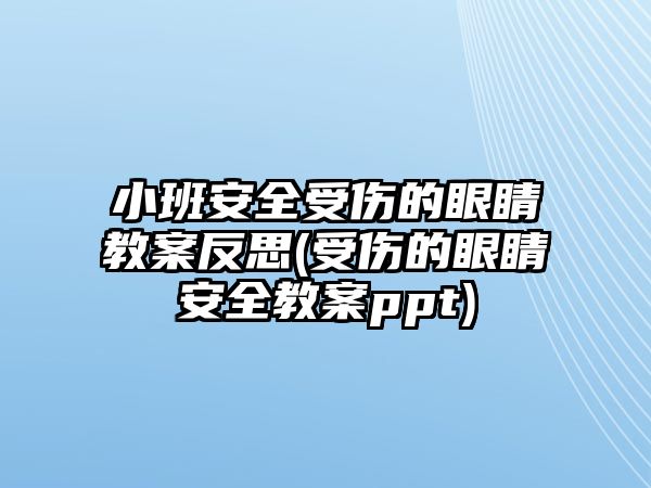 小班安全受傷的眼睛教案反思(受傷的眼睛安全教案ppt)