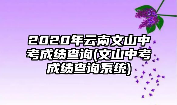 2020年云南文山中考成績(jī)查詢(xún)(文山中考成績(jī)查詢(xún)系統(tǒng))