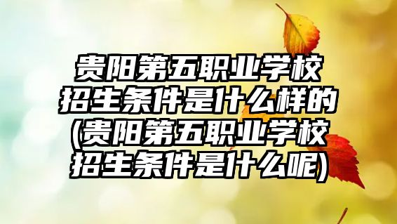 貴陽第五職業(yè)學(xué)校招生條件是什么樣的(貴陽第五職業(yè)學(xué)校招生條件是什么呢)