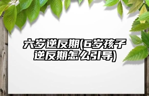 六歲逆反期(6歲孩子逆反期怎么引導(dǎo))