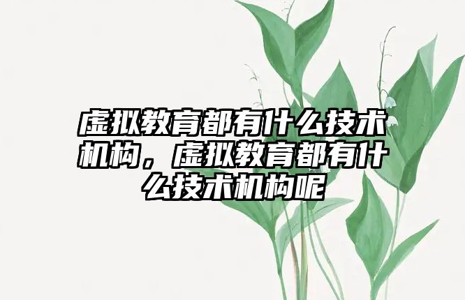 虛擬教育都有什么技術機構，虛擬教育都有什么技術機構呢