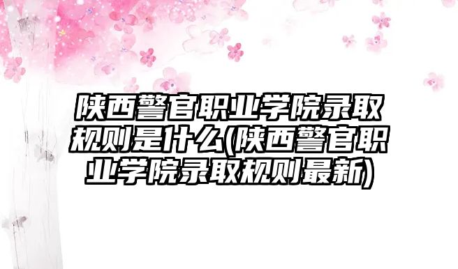 陜西警官職業(yè)學(xué)院錄取規(guī)則是什么(陜西警官職業(yè)學(xué)院錄取規(guī)則最新)