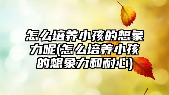 怎么培養(yǎng)小孩的想象力呢(怎么培養(yǎng)小孩的想象力和耐心)