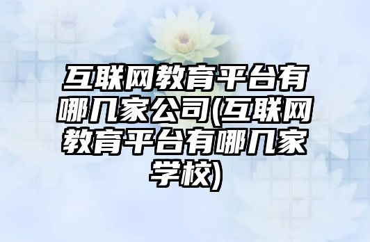 互聯(lián)網(wǎng)教育平臺有哪幾家公司(互聯(lián)網(wǎng)教育平臺有哪幾家學(xué)校)