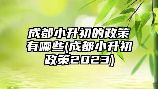 成都小升初的政策有哪些(成都小升初政策2023)