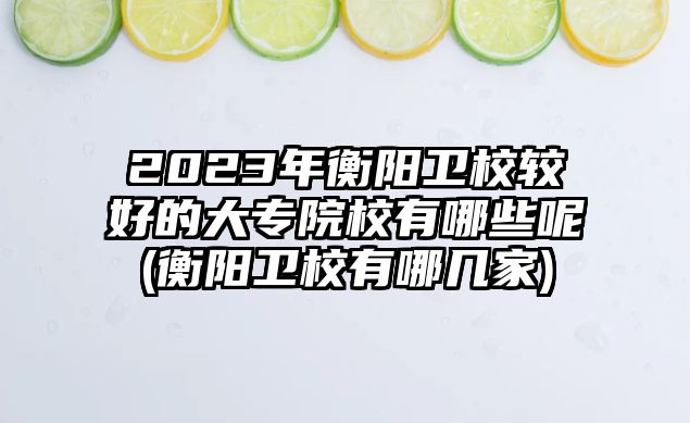 2023年衡陽(yáng)衛(wèi)校較好的大專院校有哪些呢(衡陽(yáng)衛(wèi)校有哪幾家)