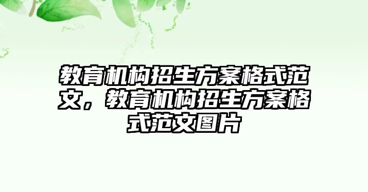 教育機(jī)構(gòu)招生方案格式范文，教育機(jī)構(gòu)招生方案格式范文圖片