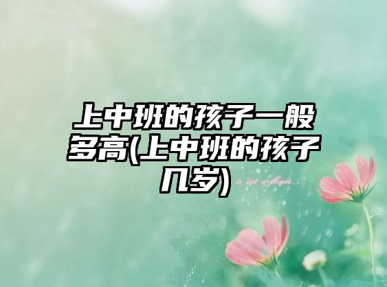 上中班的孩子一般多高(上中班的孩子幾歲)