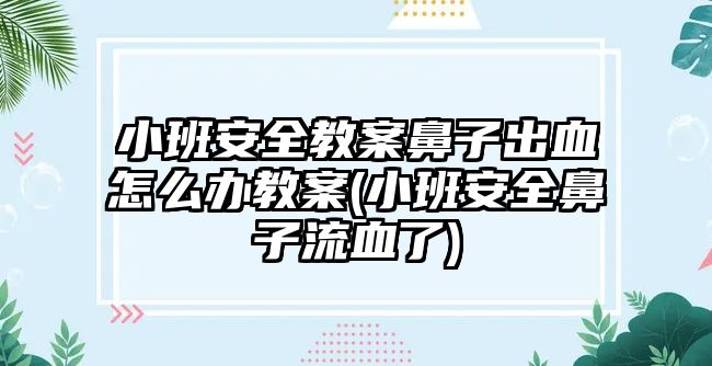 小班安全教案鼻子出血怎么辦教案(小班安全鼻子流血了)