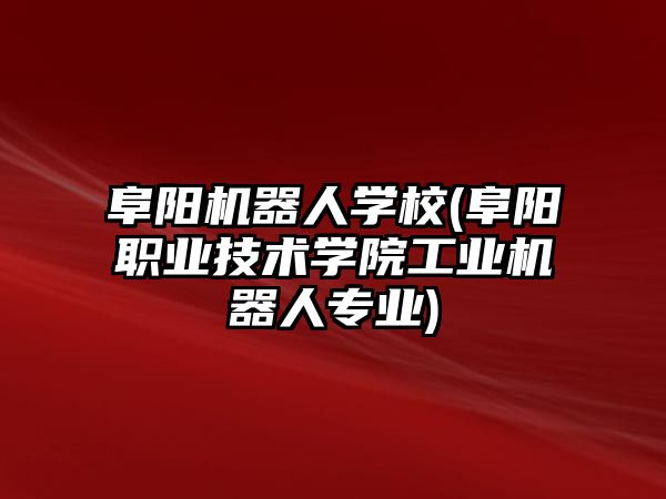 阜陽機器人學校(阜陽職業(yè)技術學院工業(yè)機器人專業(yè))