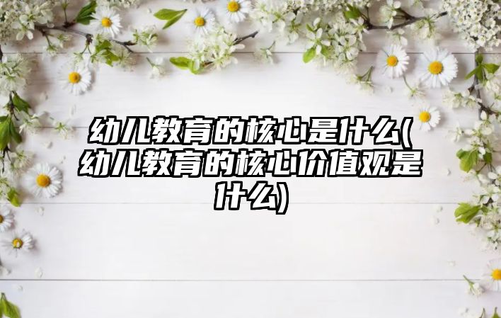 幼兒教育的核心是什么(幼兒教育的核心價值觀是什么)