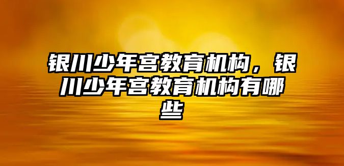 銀川少年宮教育機(jī)構(gòu)，銀川少年宮教育機(jī)構(gòu)有哪些