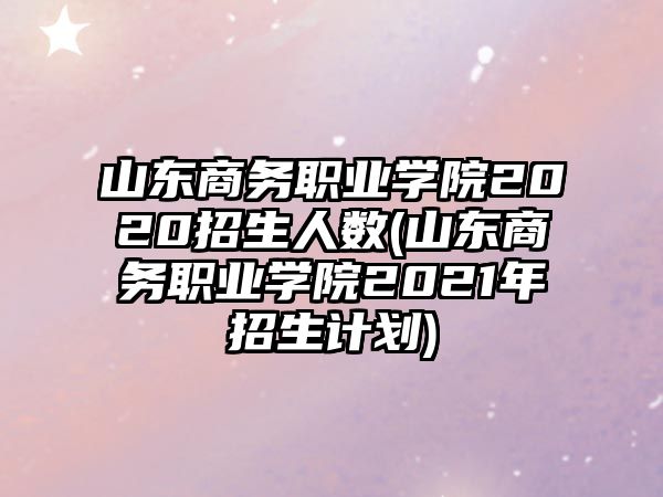 山東商務(wù)職業(yè)學(xué)院2020招生人數(shù)(山東商務(wù)職業(yè)學(xué)院2021年招生計(jì)劃)