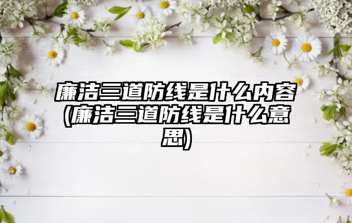 廉潔三道防線是什么內(nèi)容(廉潔三道防線是什么意思)