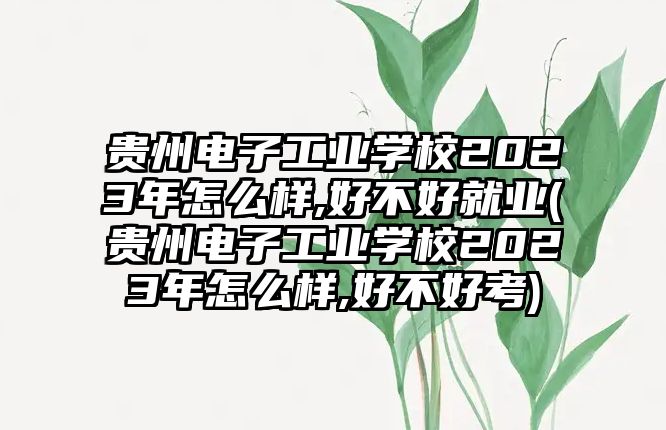 貴州電子工業(yè)學(xué)校2023年怎么樣,好不好就業(yè)(貴州電子工業(yè)學(xué)校2023年怎么樣,好不好考)